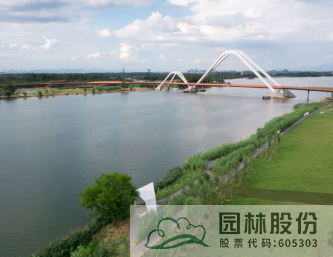 电竞比赛押注app