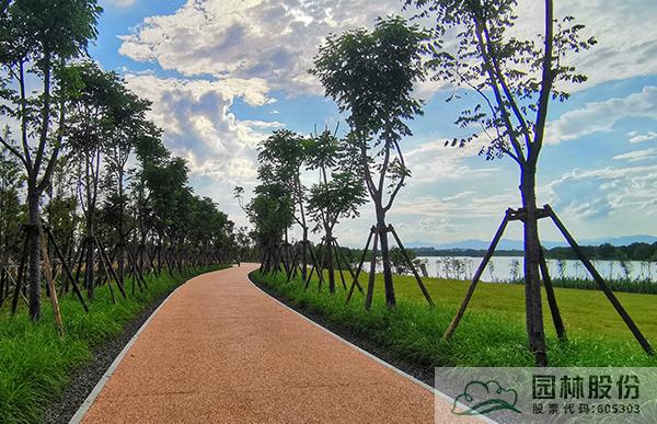 电竞比赛押注app