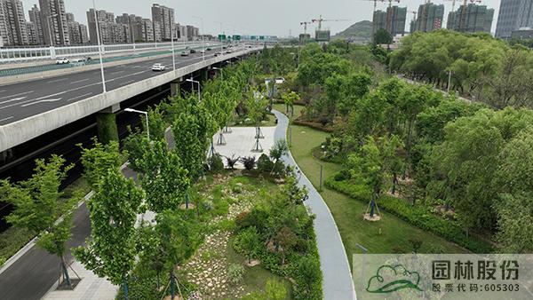 电竞比赛押注app