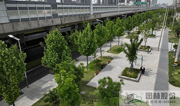 电竞比赛押注app