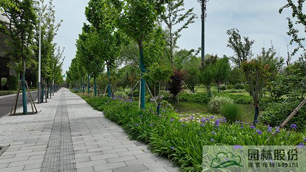 电竞比赛押注app