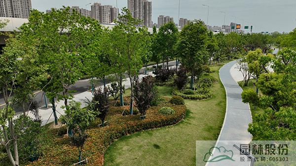 电竞比赛押注app