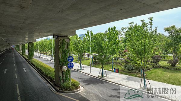 电竞比赛押注app