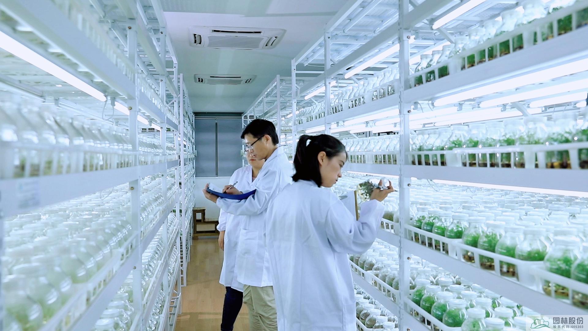 电竞比赛押注app