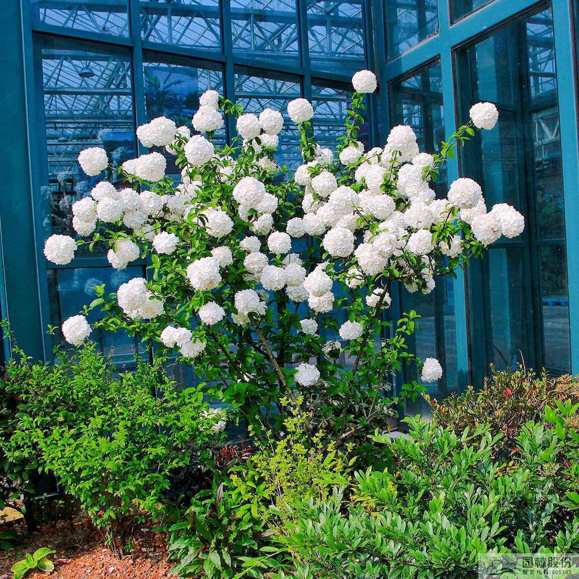 电竞比赛押注app