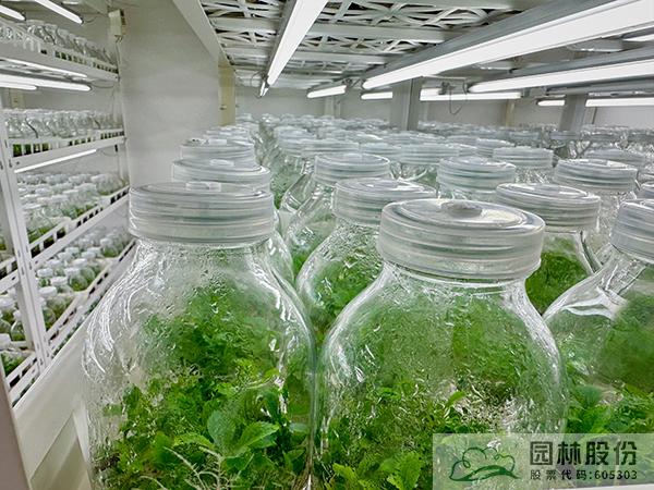 电竞比赛押注app