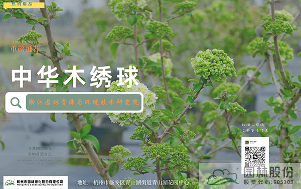 电竞比赛押注app