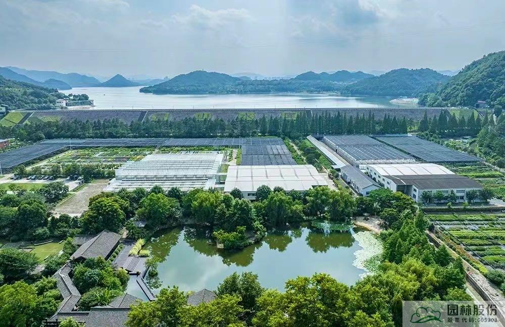 电竞比赛押注app