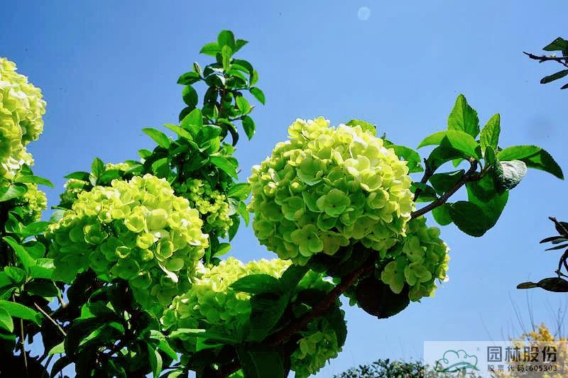 电竞比赛押注app