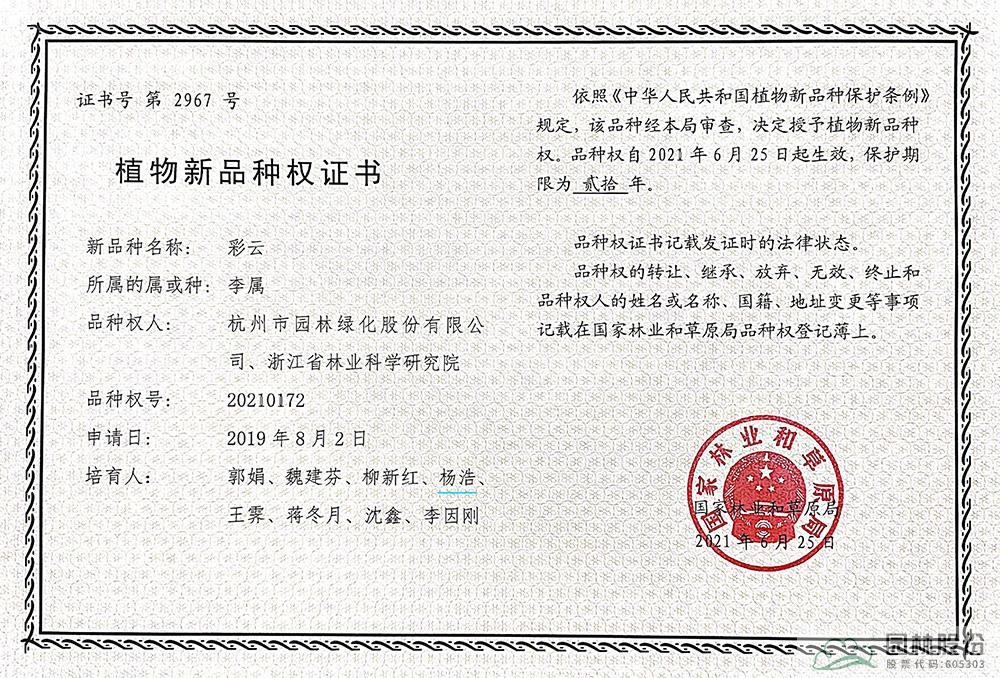 电竞比赛押注app