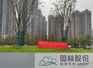 电竞比赛押注app