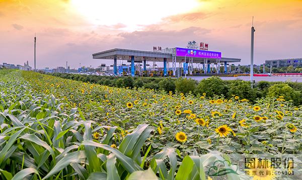 电竞比赛押注app