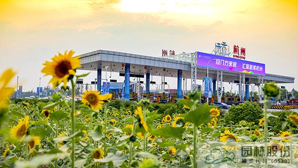 电竞比赛押注app