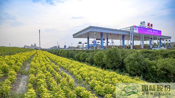 电竞比赛押注app