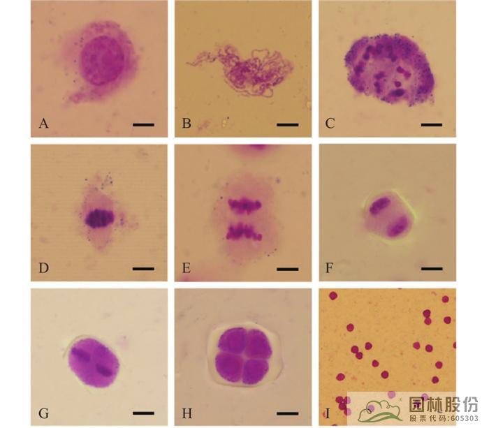 电竞比赛押注app