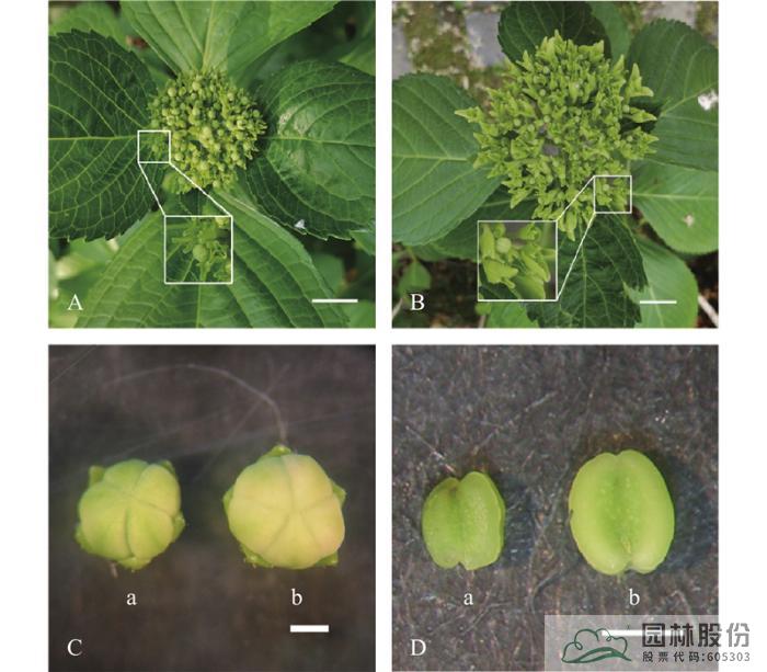 电竞比赛押注app