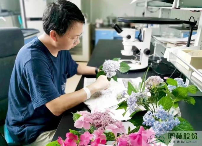 电竞比赛押注app