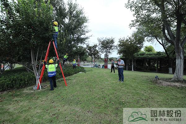 电竞比赛押注app