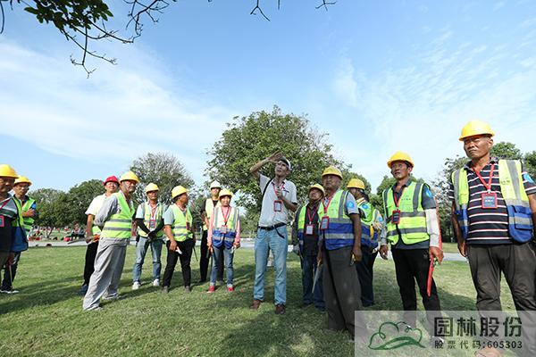 电竞比赛押注app