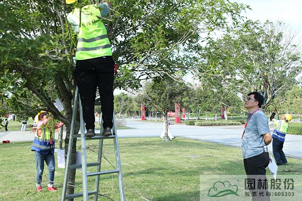 电竞比赛押注app