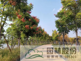 电竞比赛押注app