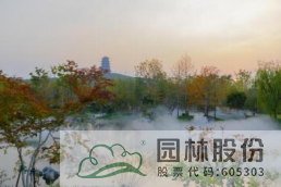 电竞比赛押注app