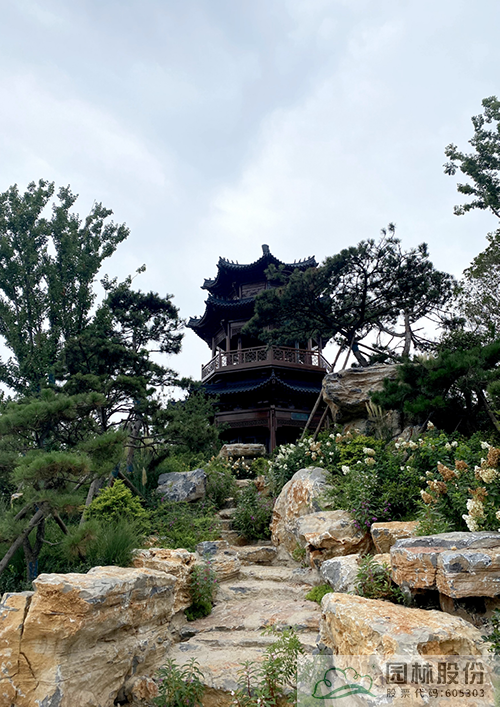 电竞比赛押注app