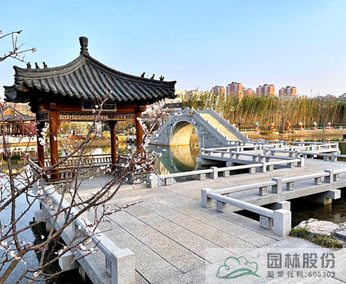 电竞比赛押注app