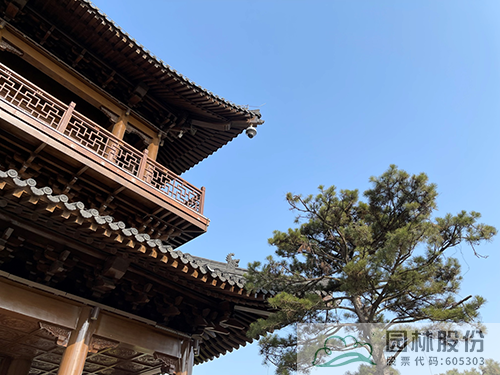 电竞比赛押注app