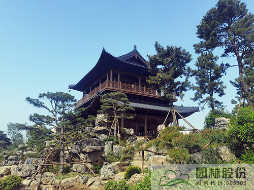 电竞比赛押注app