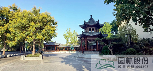 电竞比赛押注app