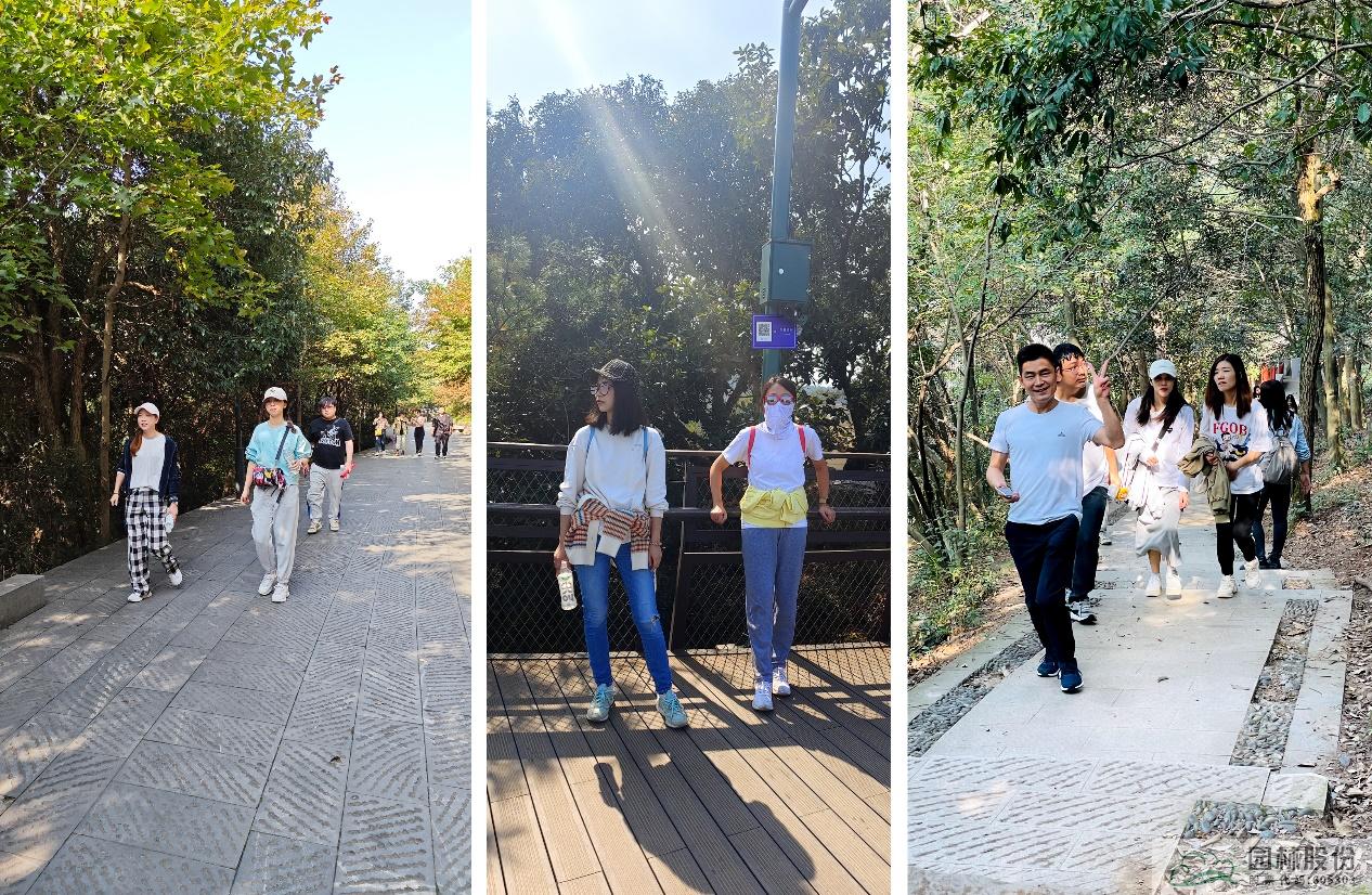 电竞比赛押注app