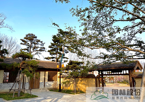 电竞比赛押注app