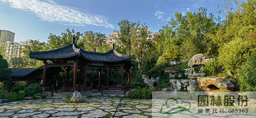 电竞比赛押注app