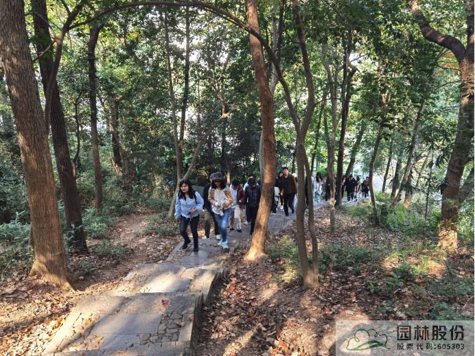 电竞比赛押注app