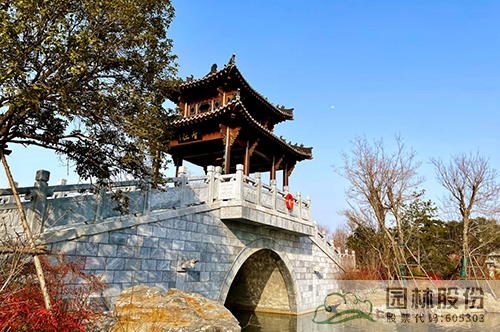 电竞比赛押注app