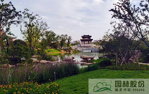 电竞比赛押注app