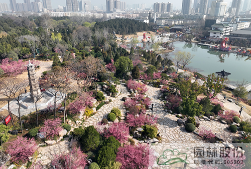 电竞比赛押注app