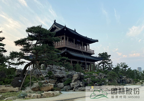 电竞比赛押注app