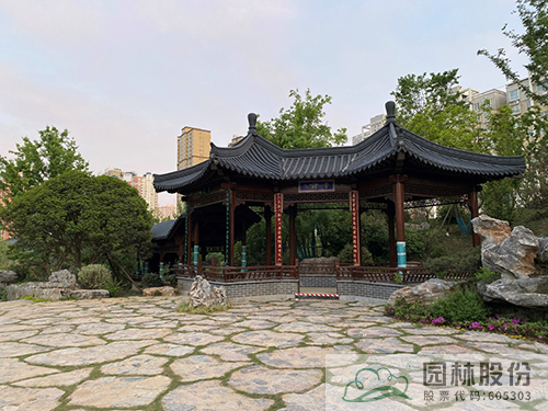 电竞比赛押注app