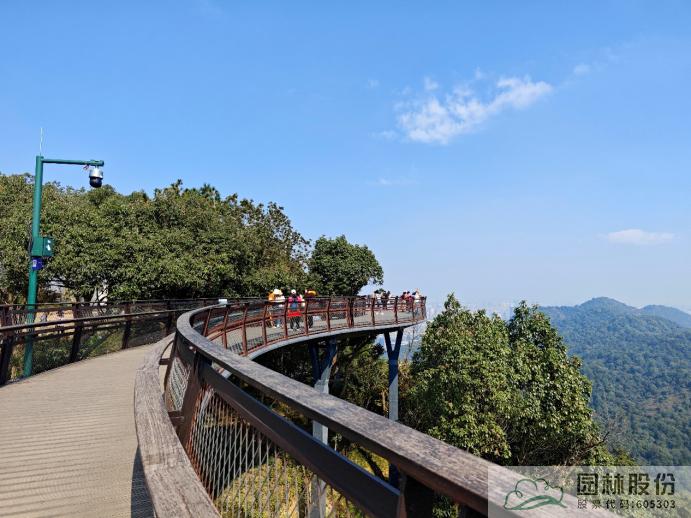 电竞比赛押注app