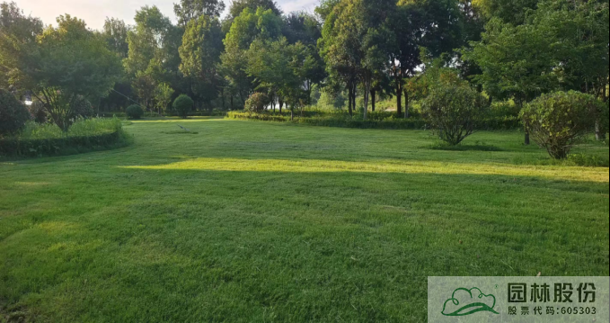 电竞比赛押注app