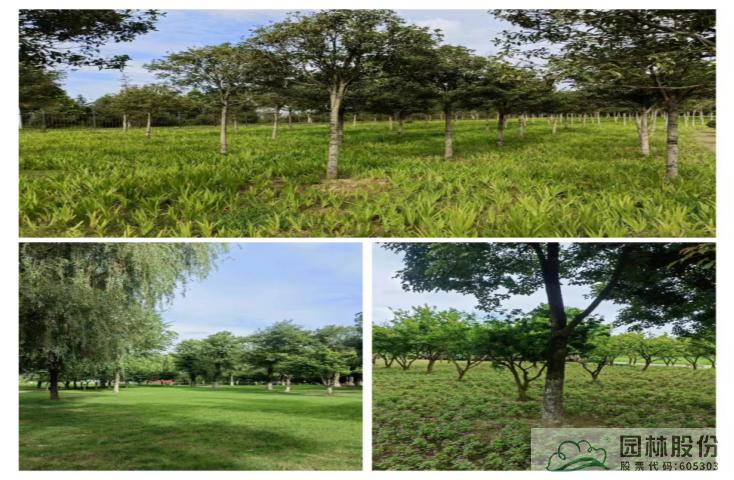 电竞比赛押注app