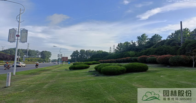 电竞比赛押注app