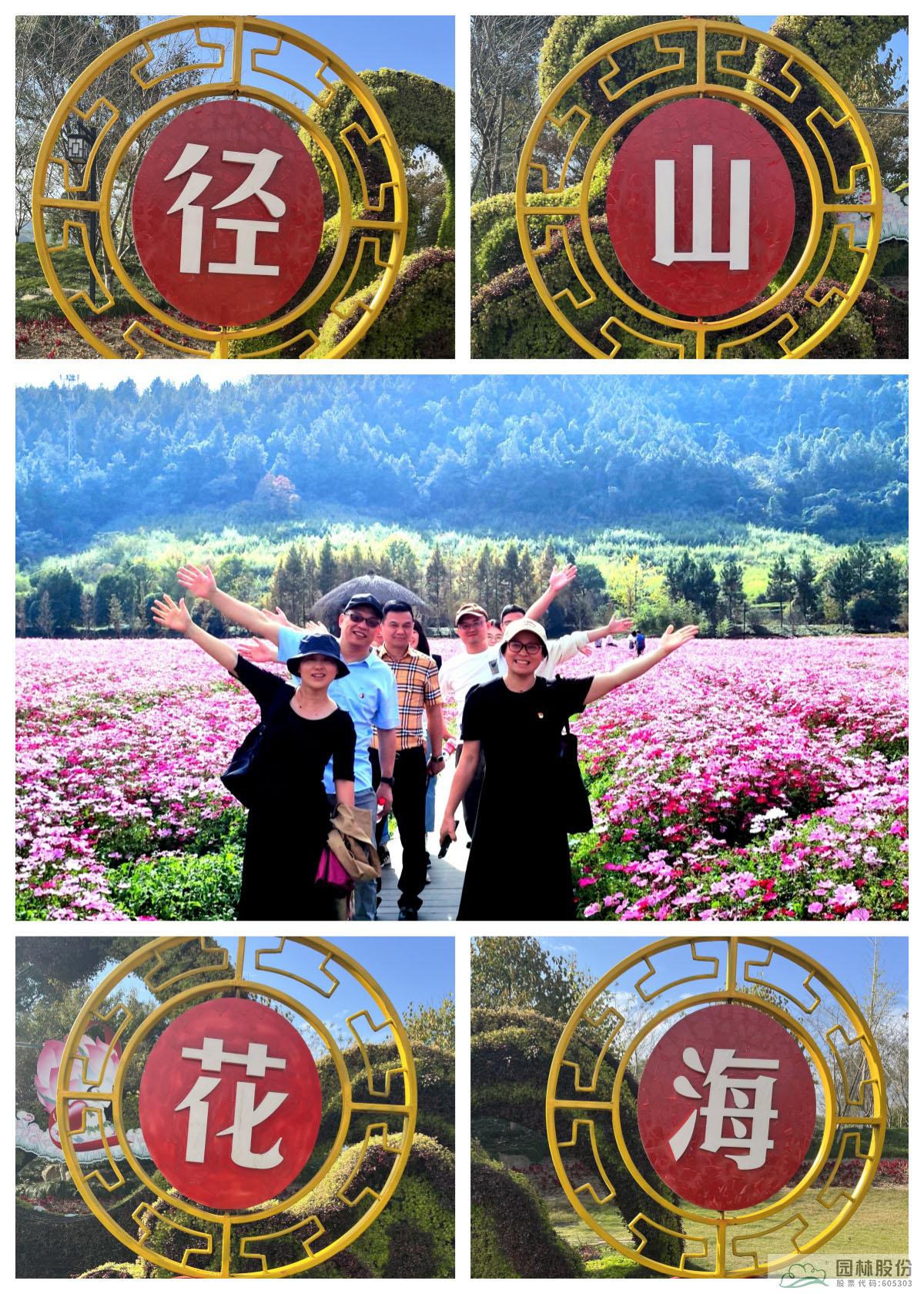 电竞比赛押注app