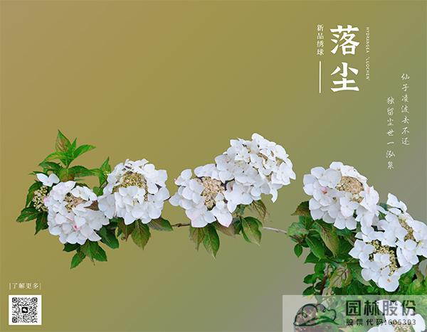 电竞比赛押注app