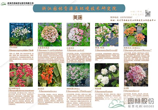 电竞比赛押注app