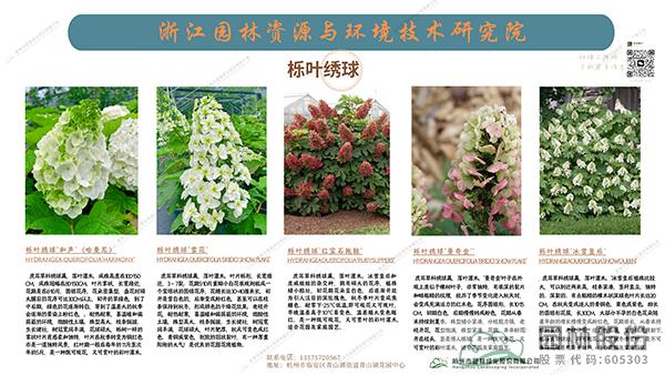 电竞比赛押注app