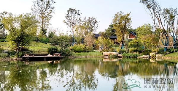 电竞比赛押注app