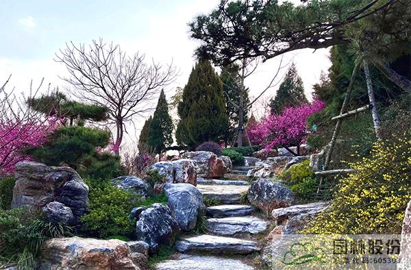 电竞比赛押注app